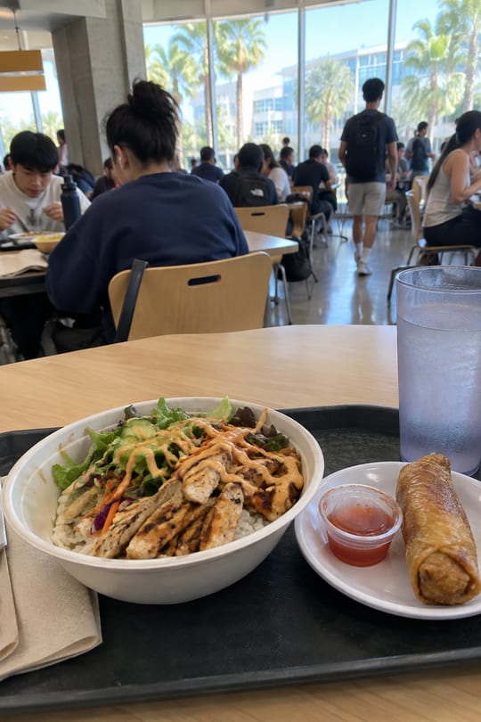 Rating every dining hall